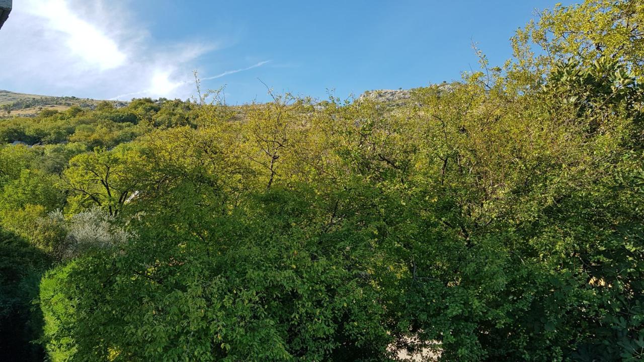 שקודר Rooms Lake View Balani Restaurant מראה חיצוני תמונה